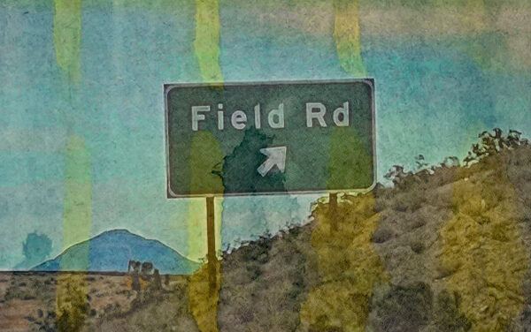 Field Road
