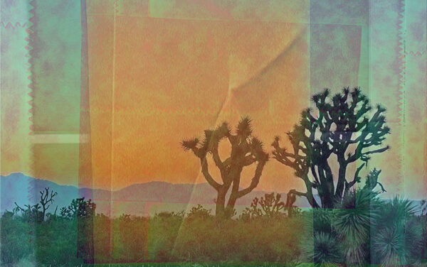 Graveyard Spreadsheets