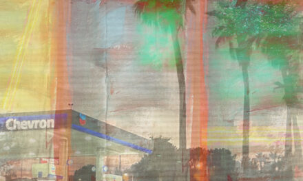 Punch Drunk At High Tide